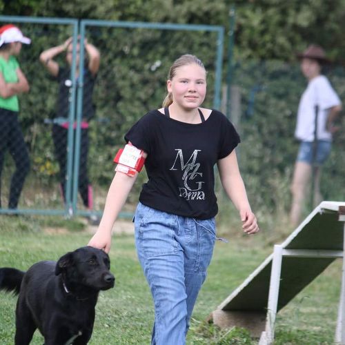 Entre chiens et nous comportementaliste éducateur canin