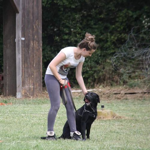 Entre chiens et nous comportementaliste éducateur canin