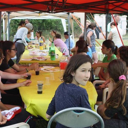 Entre chiens et nous comportementaliste éducateur canin