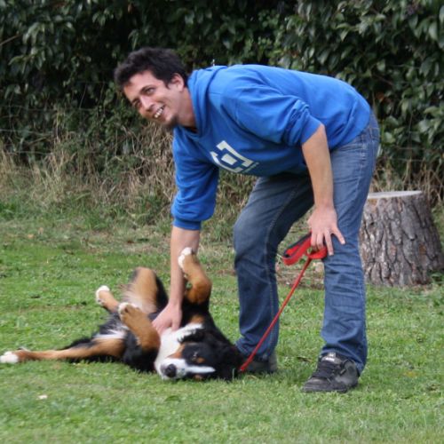 Entre chiens et nous comportementaliste éducateur canin