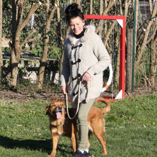 Entre chiens et nous comportementaliste éducateur canin