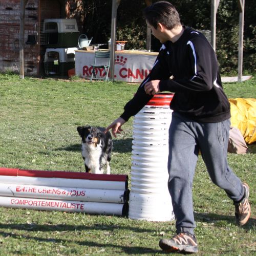 Entre chiens et nous comportementaliste éducateur canin