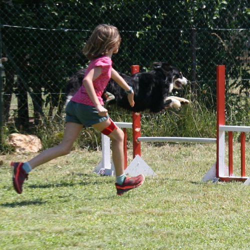Entre chiens et nous comportementaliste éducateur canin
