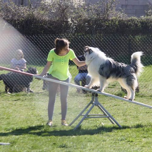 Entre chiens et nous comportementaliste éducateur canin