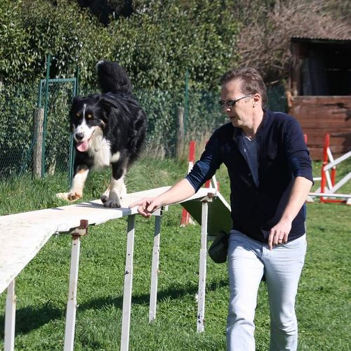 Entre chiens et nous comportementaliste éducateur canin
