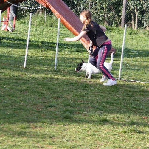 Entre chiens et nous comportementaliste éducateur canin