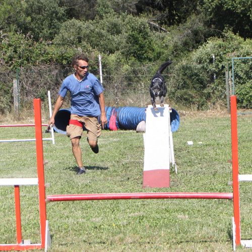 Entre chiens et nous comportementaliste éducateur canin