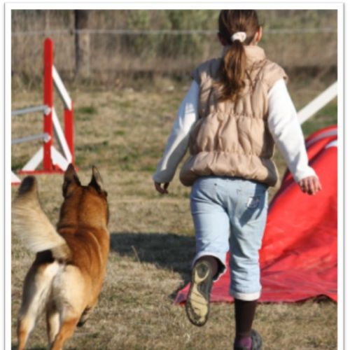 Entre chiens et nous comportementaliste éducateur canin