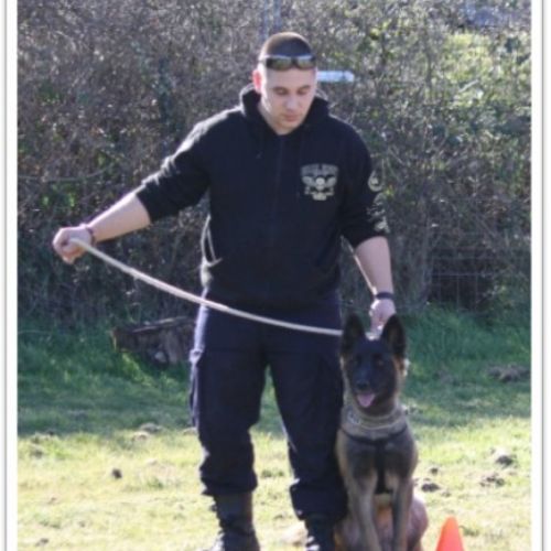 Entre chiens et nous comportementaliste éducateur canin