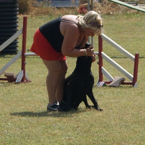 Entre chiens et nous comportementaliste éducateur canin