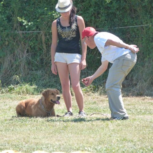 Entre chiens et nous comportementaliste éducateur canin