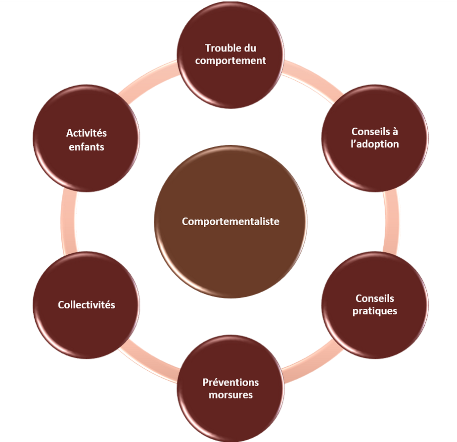 Entre chiens et nous comportementaliste éducateur canin